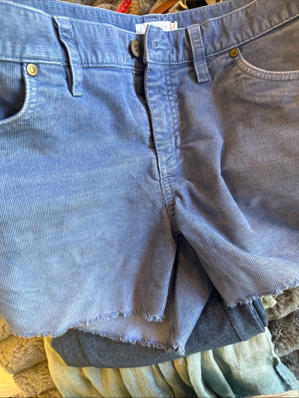 Carve Designs Light Blue Corduroy Cutoff Shorts